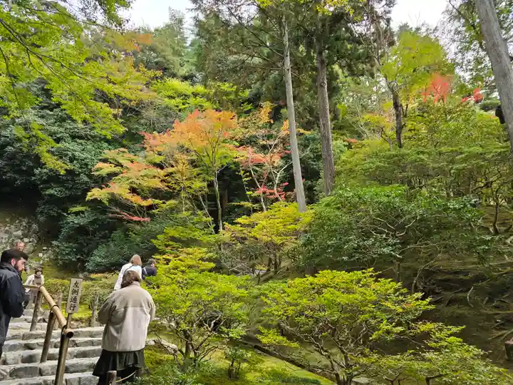 慈照寺(慈照禅寺・銀閣寺)(京都府)