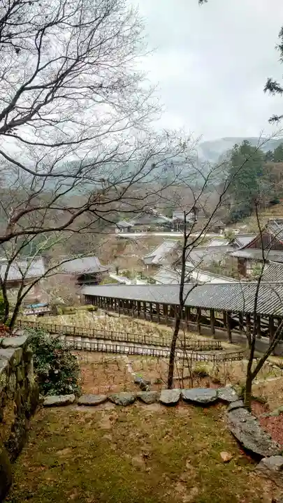 長谷寺(奈良県)