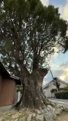 野郷神社(徳島県)