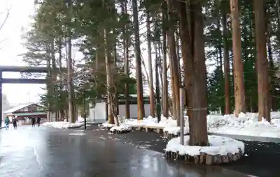 北海道神宮のその他建物