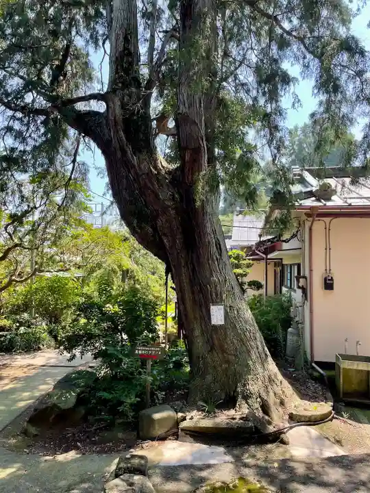 真福寺(神奈川県)