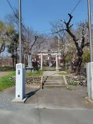 城山稲荷神社(埼玉県)