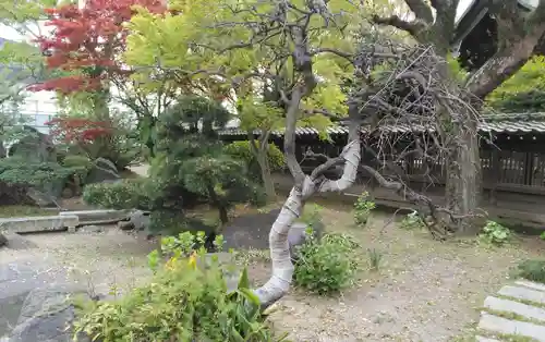 飛幡八幡宮の庭園