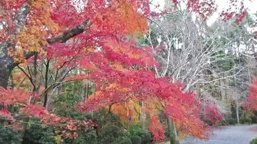 常照寺のその他建物