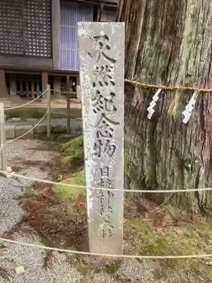 日枝神社(岐阜県)