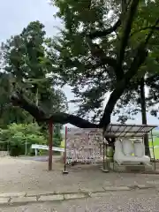 櫻田山神社(宮城県)