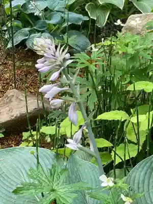 山家神社の自然