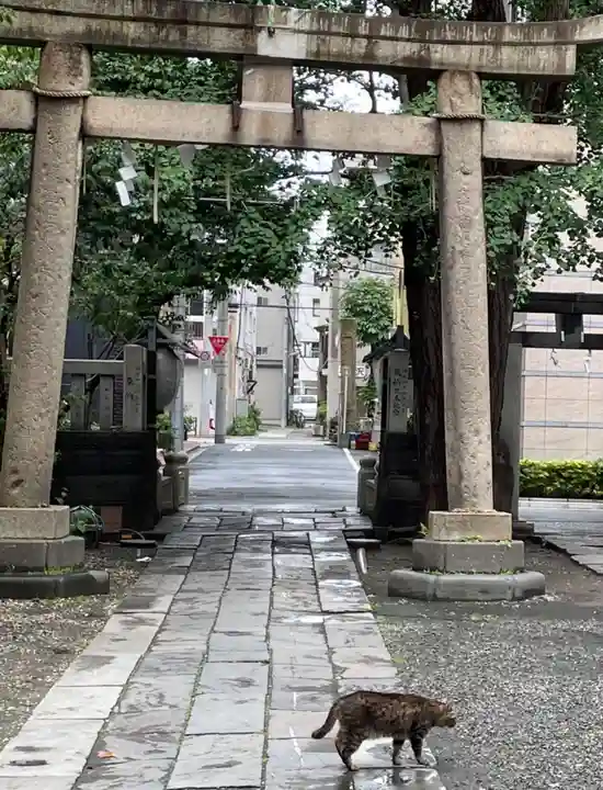 小野照崎神社の鳥居