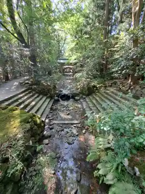 彌彦神社(新潟県)