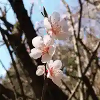 壽徳寺 じゅとくじの自然