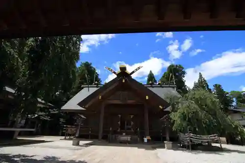 開成山大神宮の本殿・本堂