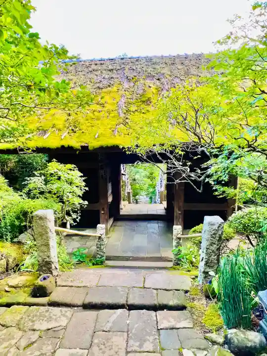 杉本寺(神奈川県)