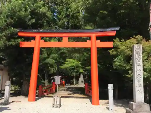 北畠神社の鳥居