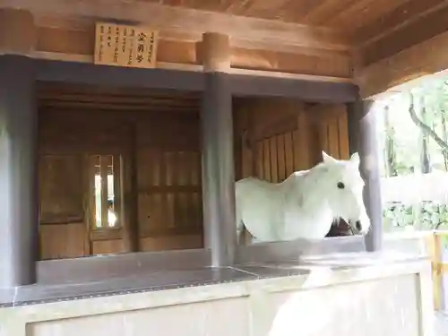 伊勢神宮内宮（皇大神宮）の動物