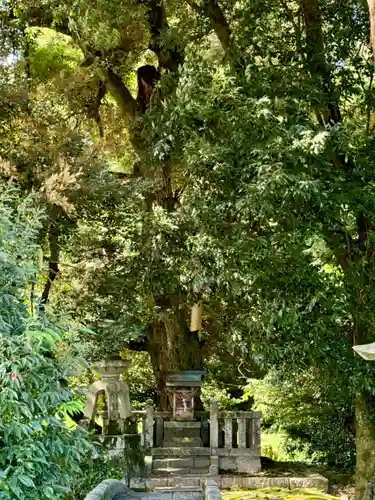 伊富岐神社(岐阜県)