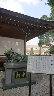 加納天満宮の狛犬
