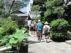 行願寺（革堂）の建物その他