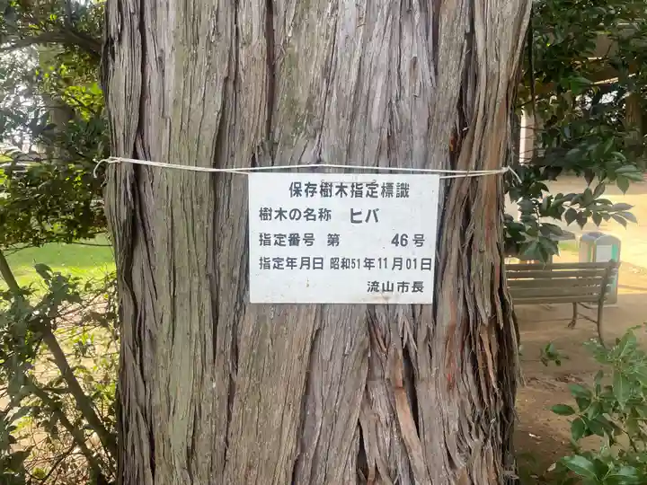 成顕寺(千葉県)