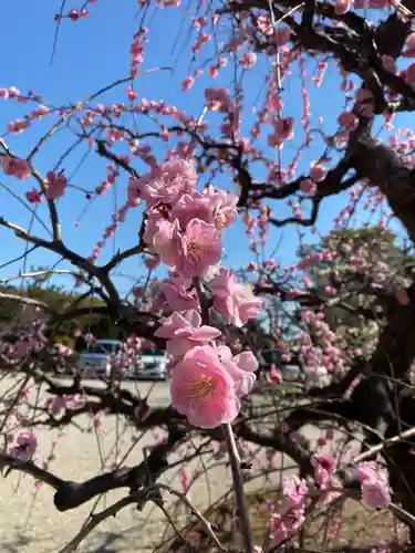 比佐豆知神社の自然