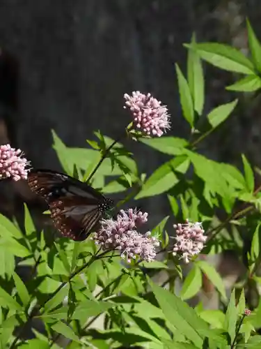 播州清水寺(兵庫県)