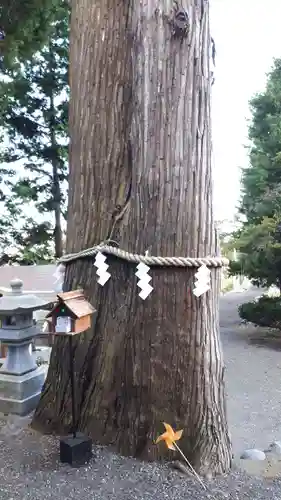 高司神社〜むすびの神の鎮まる社〜(福島県)