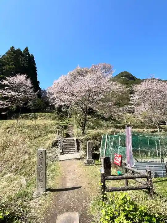 仏隆寺の{uncategorized: "未分類", other: "その他", undefined: "問題あり", building: "その他建物", grave: "お墓", sacred_gate: "鳥居", guardian: "狛犬", statue: "像", buddha: "仏像", history: "歴史", nature: "自然", garden: "庭園", animal: "動物", pagoda: "塔", temizu: "手水舎", mountain_gate: "山門・神門", sanctuary: "本殿・本堂", subordinate: "末社・摂社", art: "芸術", scenery: "景色", jizo: "地蔵", ema: "絵馬", goshuin: "御朱印", omikuji: "おみくじ", items: "授与品その他", amulet: "お守り", goshuincho: "御朱印帳", eats: "食事", festival: "お祭り", votive_dance: "神楽", shichigosan: "七五三参", wedding: "結婚式", experience: "体験その他", initially: "初詣", around: "周辺", anti_infection: "感染症対策"}