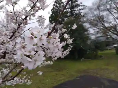 日吉神社(福井県)