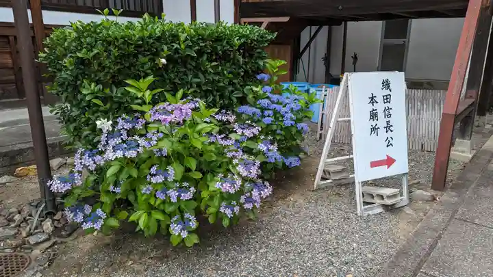 阿弥陀寺(京都府)