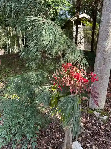 水分神社(滋賀県)