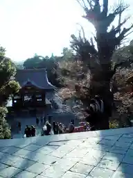 鶴岡八幡宮の景色