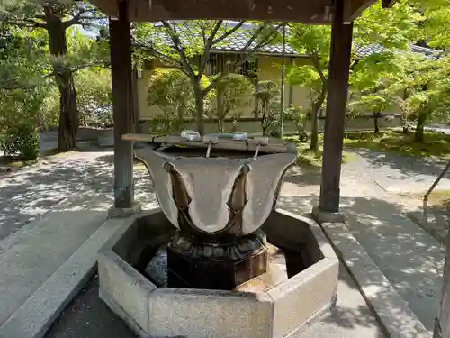 光明寺（粟生光明寺）の手水舎
