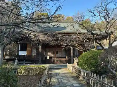 王禅寺の{uncategorized: "未分類", other: "その他", undefined: "問題あり", building: "その他建物", grave: "お墓", sacred_gate: "鳥居", guardian: "狛犬", statue: "像", buddha: "仏像", history: "歴史", nature: "自然", garden: "庭園", animal: "動物", pagoda: "塔", temizu: "手水舎", mountain_gate: "山門・神門", sanctuary: "本殿・本堂", subordinate: "末社・摂社", art: "芸術", scenery: "景色", jizo: "地蔵", ema: "絵馬", goshuin: "御朱印", omikuji: "おみくじ", items: "授与品その他", amulet: "お守り", goshuincho: "御朱印帳", eats: "食事", festival: "お祭り", votive_dance: "神楽", shichigosan: "七五三参", wedding: "結婚式", experience: "体験その他", initially: "初詣", around: "周辺", anti_infection: "感染症対策"}