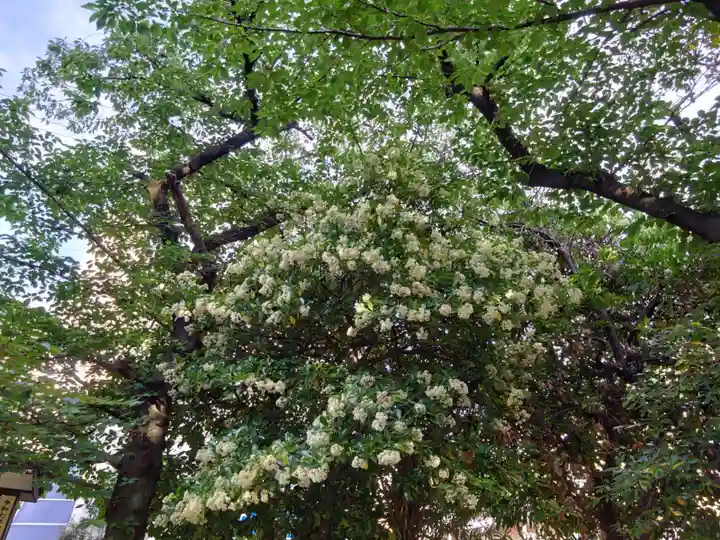 萩中神社(東京都)