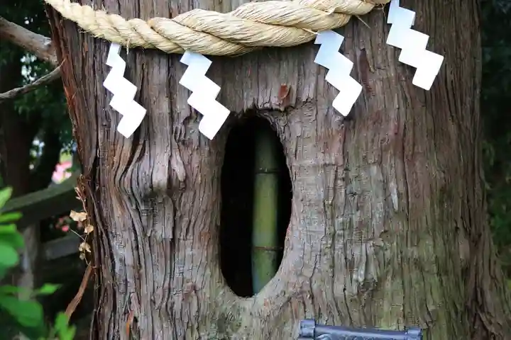 阿久津「田村神社」(郡山市阿久津町)旧社名:伊豆箱根三嶋三社の自然