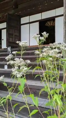 真正極楽寺(真如堂)(京都府)