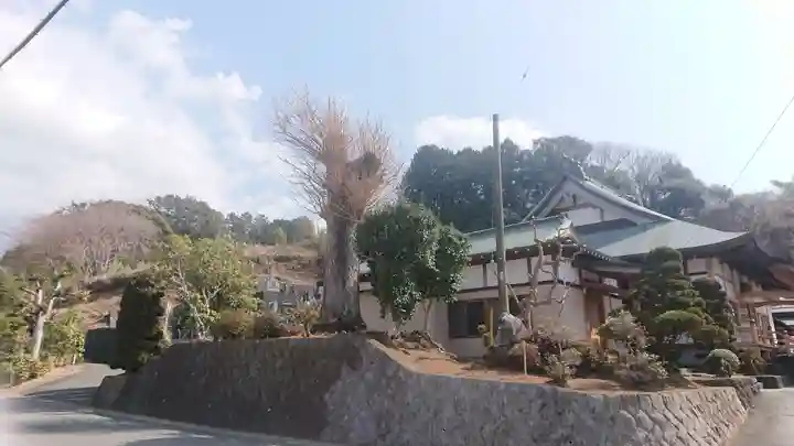 光明寺(静岡県)