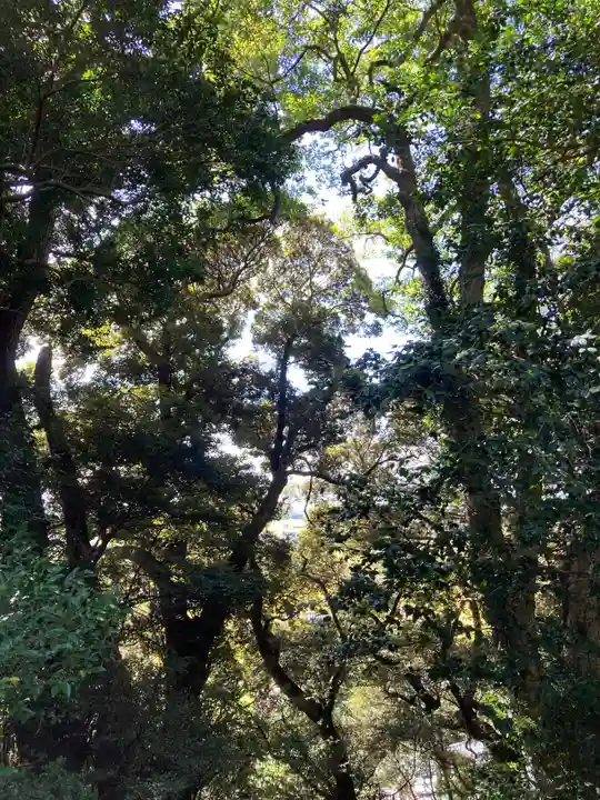 蛟蝄神社門の宮(茨城県)