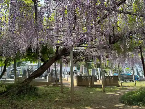 実相寺(千葉県)