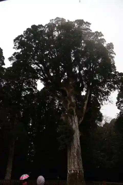 霧島神宮(鹿児島県)