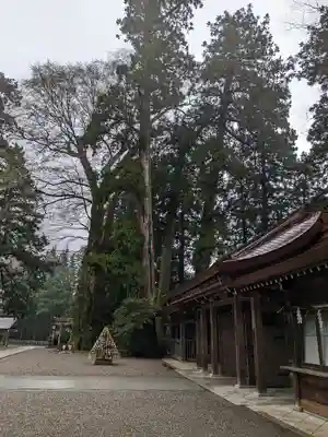 白山比咩神社のその他建物