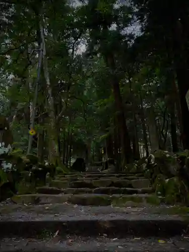 最乗寺（道了尊）(神奈川県)