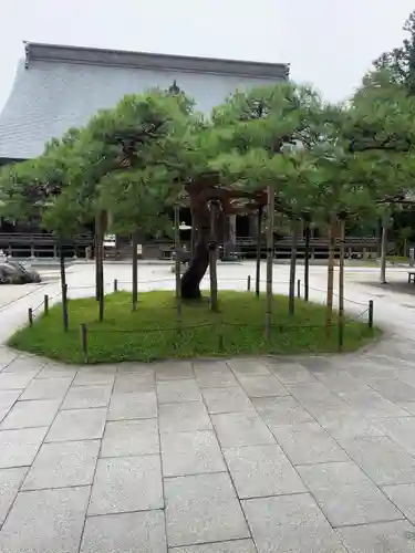 中尊寺(岩手県)