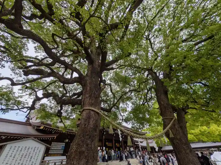 明治神宮(東京都)
