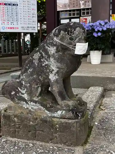 川越八幡宮(埼玉県)