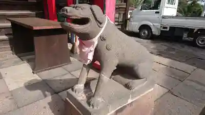 長谷寺(白岩観音)の狛犬