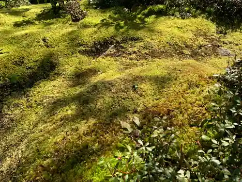 西明寺の庭園