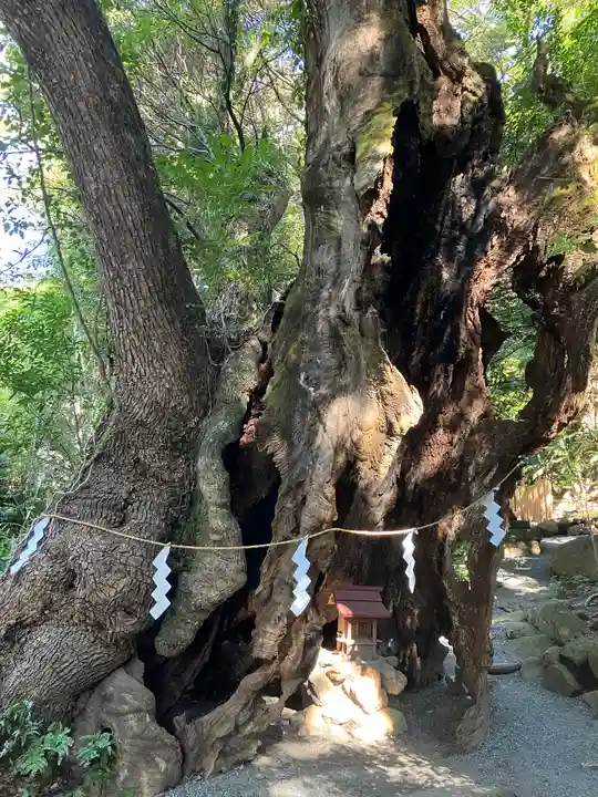 來宮神社(静岡県)