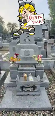 興聖寺(栃木県)