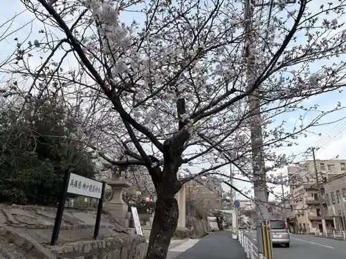兵庫縣神戸護國神社(兵庫県)