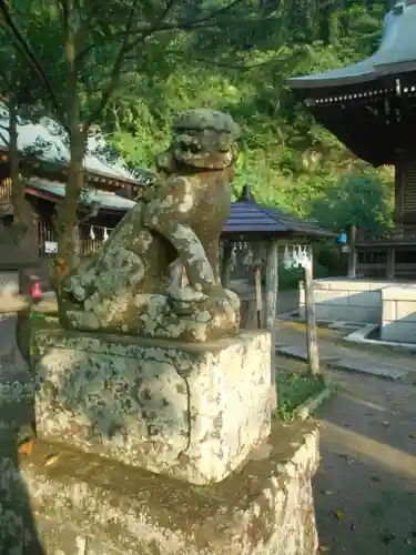 御霊神社の狛犬